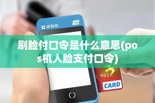 刷脸付口令是什么意思(pos机人脸支付口令)