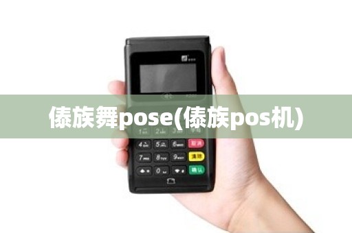 傣族舞pose(傣族pos机)