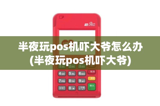 半夜玩pos机吓大爷怎么办(半夜玩pos机吓大爷)