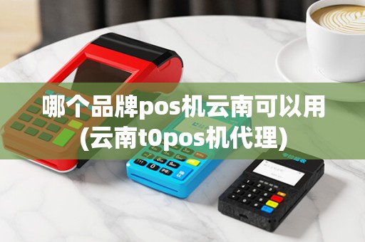 哪个品牌pos机云南可以用(云南t0pos机代理)