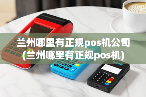 兰州哪里有正规pos机公司(兰州哪里有正规pos机)