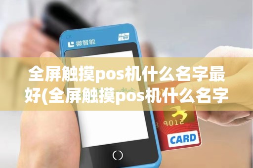 全屏触摸pos机什么名字最好(全屏触摸pos机什么名字)