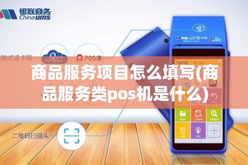 商品服务项目怎么填写(商品服务类pos机是什么)