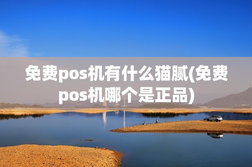 免费pos机有什么猫腻(免费pos机哪个是正品)