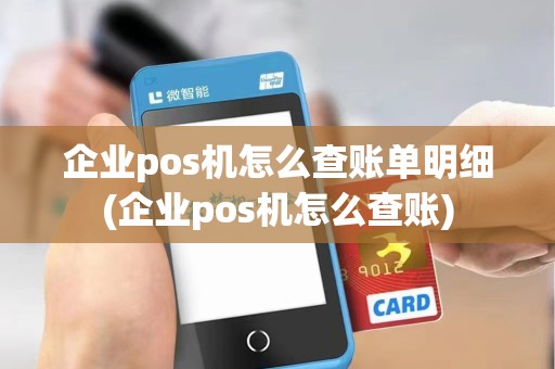 企业pos机怎么查账单明细(企业pos机怎么查账)