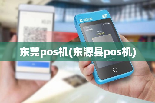 东莞pos机(东源县pos机)