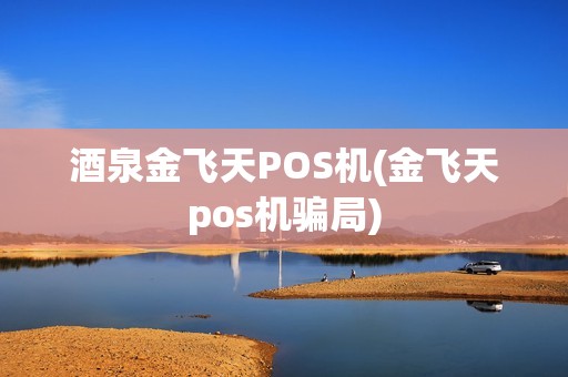 酒泉金飞天POS机(金飞天pos机骗局)