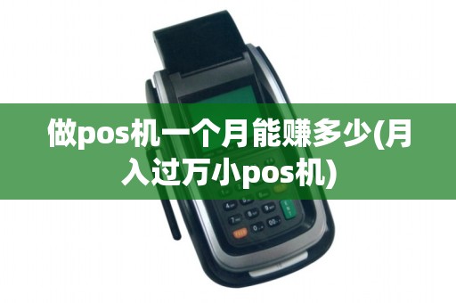 做pos机一个月能赚多少(月入过万小pos机)