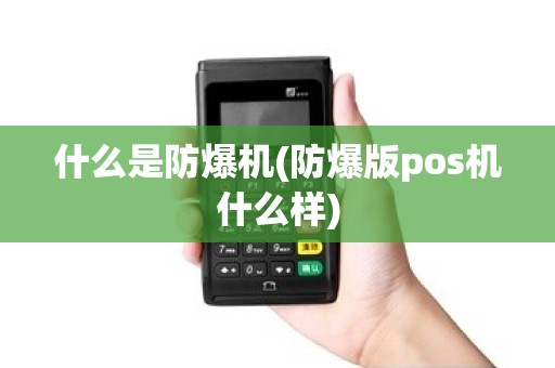 什么是防爆机(防爆版pos机什么样)
