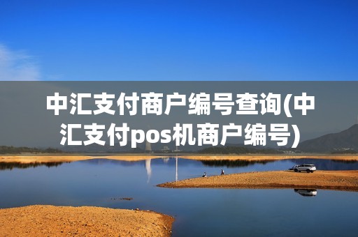 中汇支付商户编号查询(中汇支付pos机商户编号)