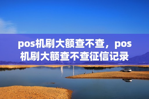 pos机刷大额查不查，pos机刷大额查不查征信记录