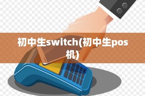 初中生switch(初中生pos机)