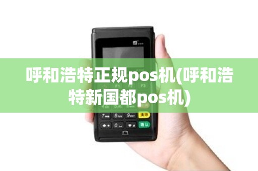 呼和浩特正规pos机(呼和浩特新国都pos机)