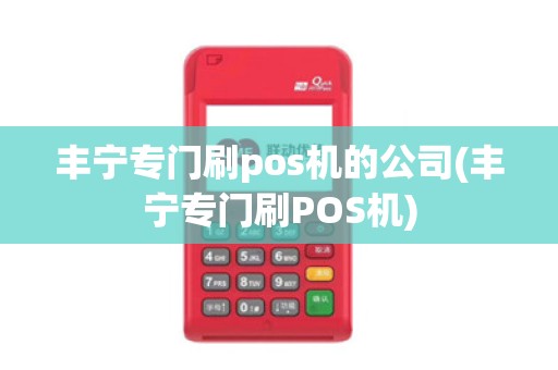丰宁专门刷pos机的公司(丰宁专门刷POS机)
