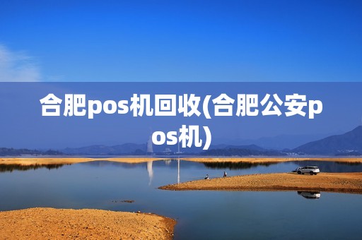 合肥pos机回收(合肥公安pos机)