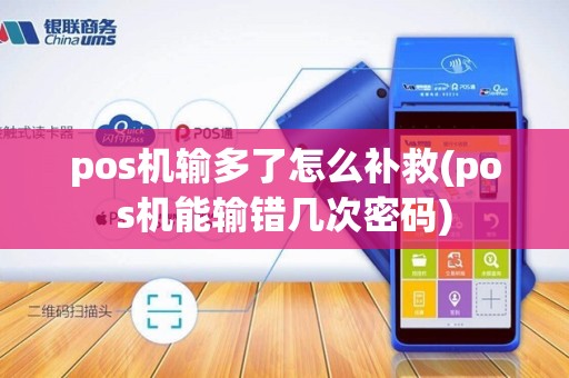 pos机输多了怎么补救(pos机能输错几次密码)