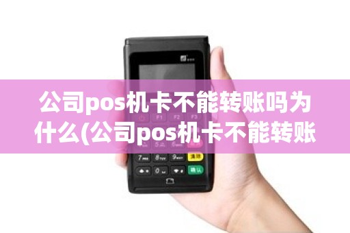 公司pos机卡不能转账吗为什么(公司pos机卡不能转账吗)