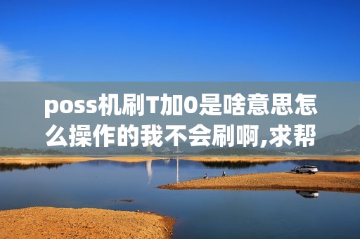 poss机刷T加0是啥意思怎么操作的我不会刷啊,求帮助