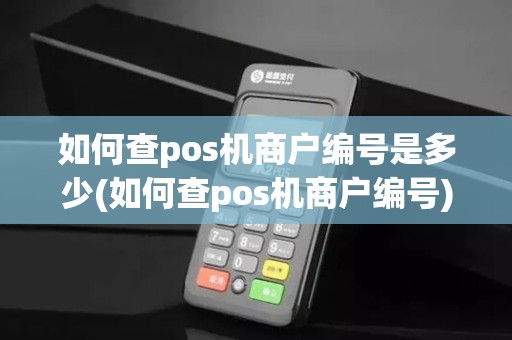 如何查pos机商户编号是多少(如何查pos机商户编号)