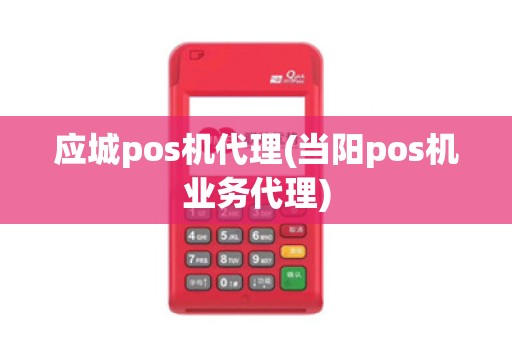 应城pos机代理(当阳pos机业务代理)