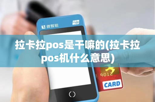 拉卡拉pos是干嘛的(拉卡拉pos机什么意思)