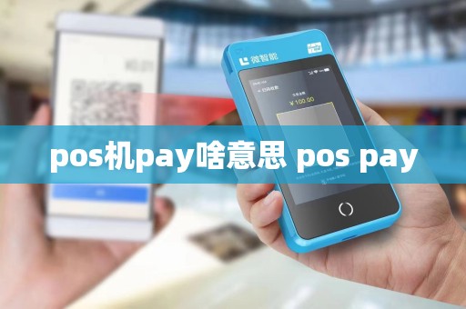 pos机pay啥意思 pos pay