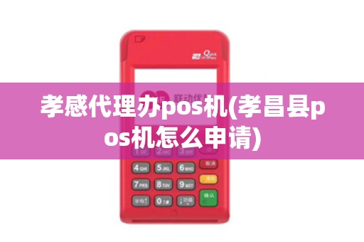 孝感代理办pos机(孝昌县pos机怎么申请)