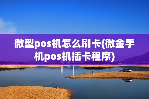 微型pos机怎么刷卡(微金手机pos机插卡程序)