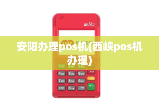 安阳办理pos机(西峡pos机办理)