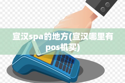 宣汉spa的地方(宣汉哪里有pos机买)