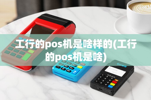 工行的pos机是啥样的(工行的pos机是啥)
