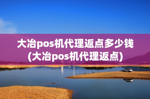 大冶pos机代理返点多少钱(大冶pos机代理返点)
