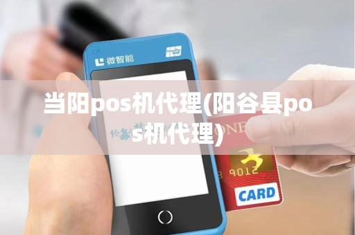 当阳pos机代理(阳谷县pos机代理)
