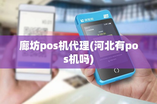 廊坊pos机代理(河北有pos机吗)