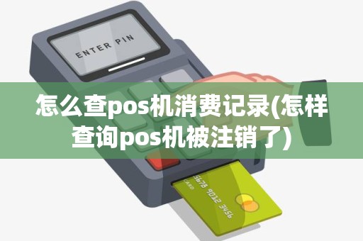 怎么查pos机消费记录(怎样查询pos机被注销了)