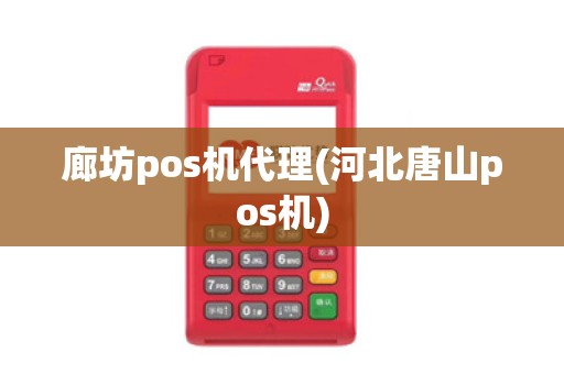 廊坊pos机代理(河北唐山pos机)