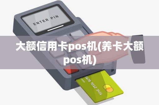 大额信用卡pos机(养卡大额pos机)