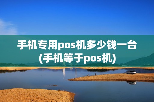 手机专用pos机多少钱一台(手机等于pos机)