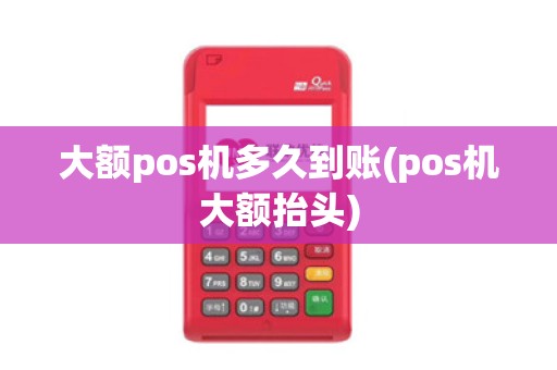 大额pos机多久到账(pos机大额抬头)