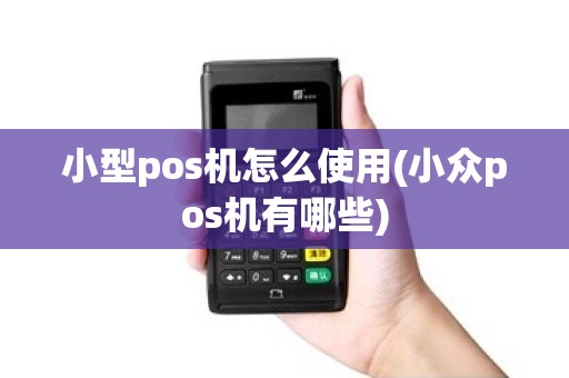 小型pos机怎么使用(小众pos机有哪些)