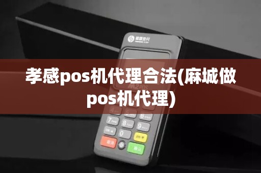 孝感pos机代理合法(麻城做pos机代理)