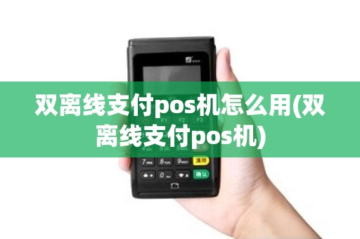 双离线支付pos机怎么用(双离线支付pos机)