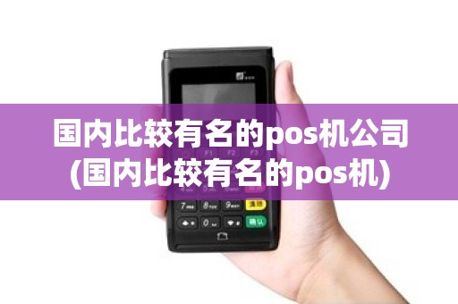国内比较有名的pos机公司(国内比较有名的pos机)