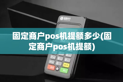 固定商户pos机提额多少(固定商户pos机提额)