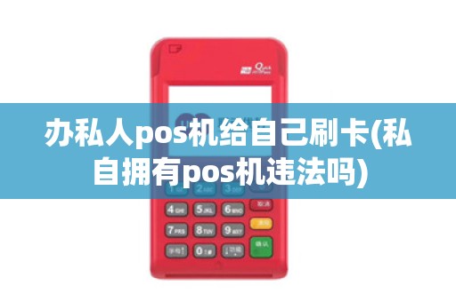 办私人pos机给自己刷卡(私自拥有pos机违法吗)
