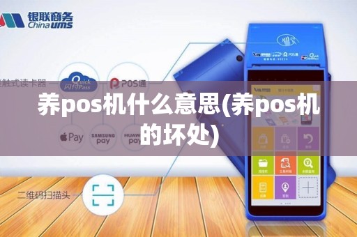 养pos机什么意思(养pos机的坏处)