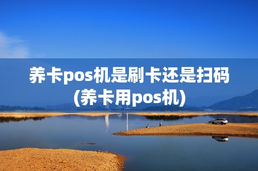 养卡pos机是刷卡还是扫码(养卡用pos机)