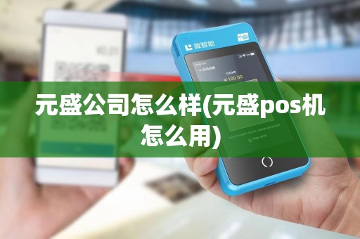 元盛公司怎么样(元盛pos机怎么用)