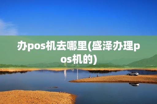 办pos机去哪里(盛泽办理pos机的)