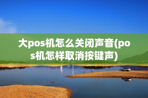 大pos机怎么关闭声音(pos机怎样取消按键声)